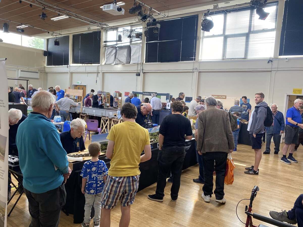 Visitors at the show